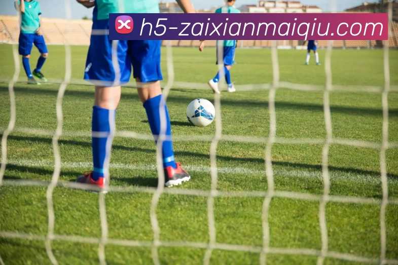 多媒体互动体验